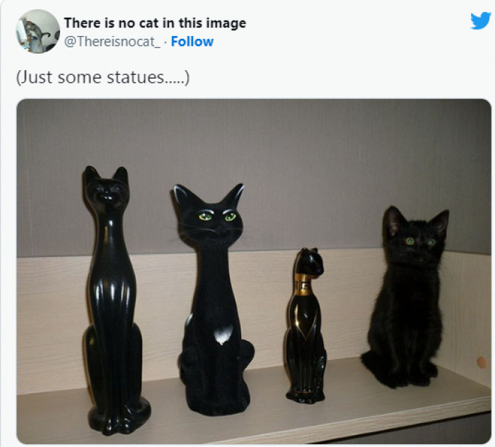 22. Keeping a low profile...