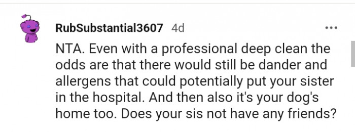 It is also your dog's home