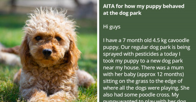 Redditor Takes Their Dog to Off-Leash Dog Park and Gets Confused by One Mom’s Reaction When Their Dog Approached Her Baby