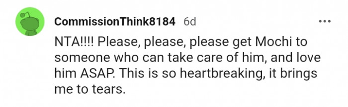 Get Mochi someone who can care for him