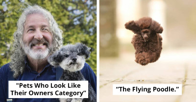 15 Hilarious Photos From The 2024 Comedy Pet Photo Awards