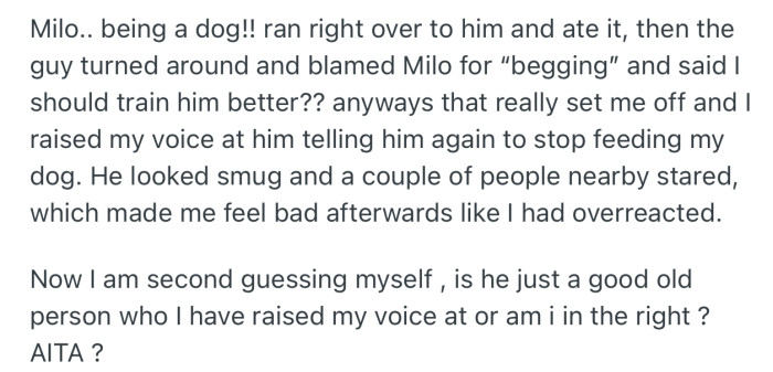 OP was forced to raise her voice at him, which attracted the attention of others at the park