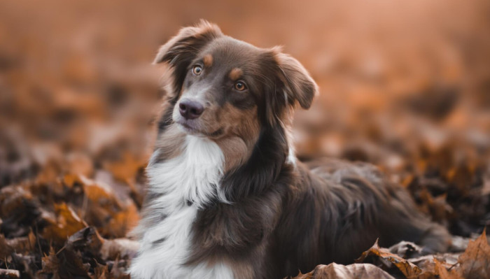 Autumn-Inspired Names