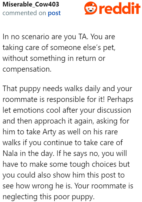 Once they've cooled their heads off, it's a good opportunity for them to sit down and redefine their boundaries as roommates.