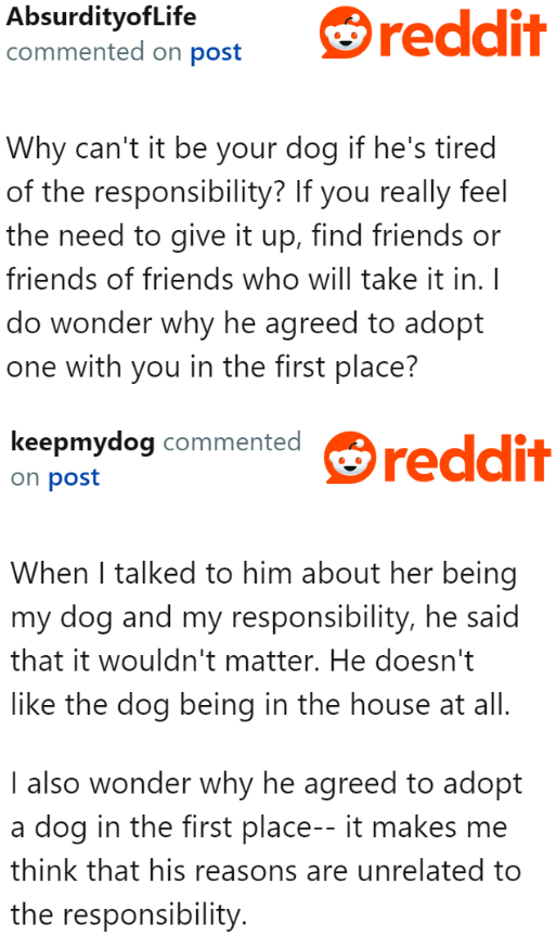 Even if the OP takes full responsibility for the dog, the husband still wouldn't like the setup.