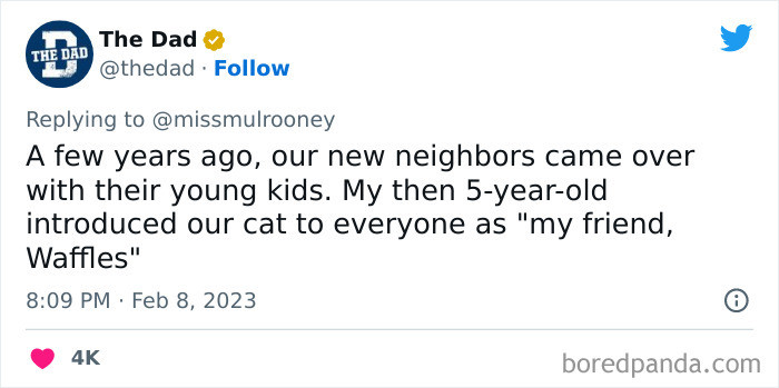 2. My friend, Waffles