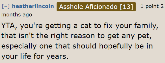 If the OP thinks that the cat can solve the problems in this family, she's dead wrong.