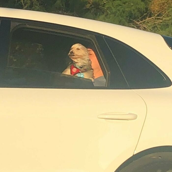 3. Feel the breeze...