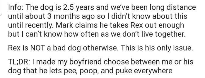 A little more info on the dog