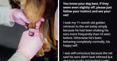 Pet Owners Share Times When Their Sixth Sense Was Telling Them Something Is Wrong, And It Saved Their Pets' Lives