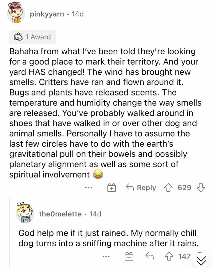 #3 Probably caused by gravitational pull, planetary alignment, or spiritual involvement?