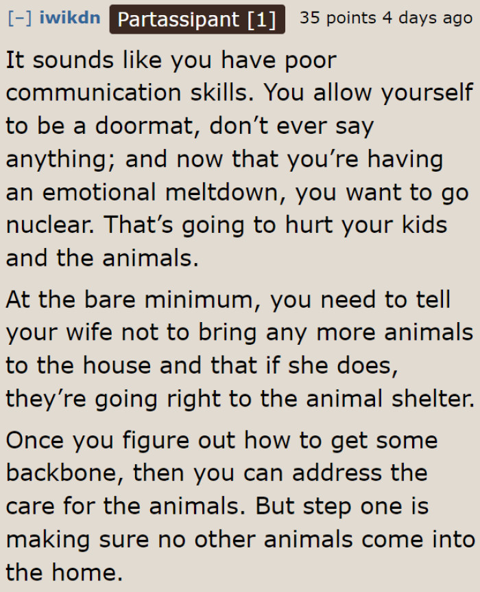 He Should Have Done Something After His Wife Brought the Cats Home.