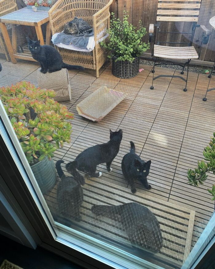 The whole gang showed up