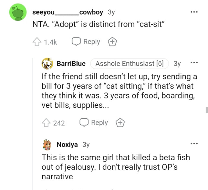 Adoption is very different from cat sitting