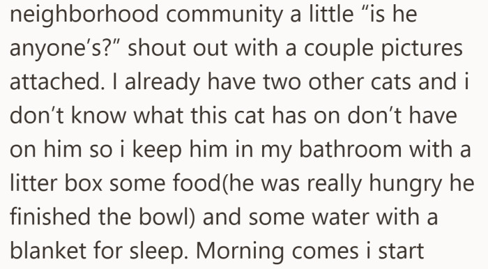 With two cats already at home, she keeps the newcomer isolated and fed until she can figure out who he belongs to.