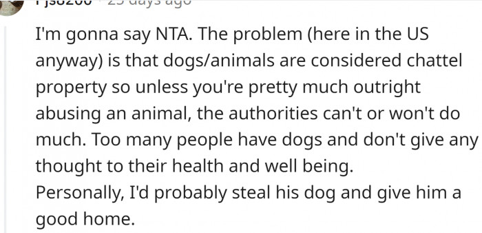 The problem is that dogs are considered property in the US.