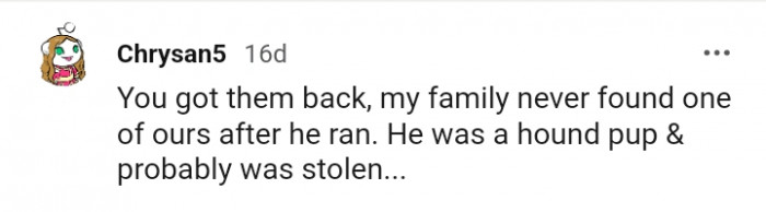 He was a round pup and probably stolen