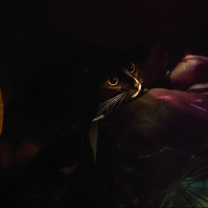 32. Hiding Under The Blanket On My Bed