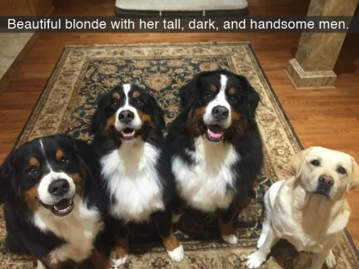 4. Polyandry done right!