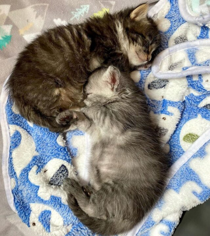 But then they found each other