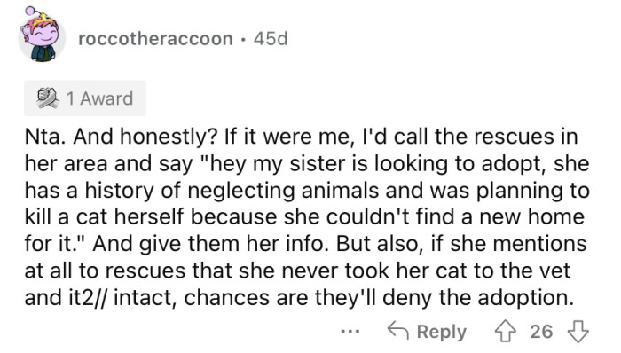 Sisterly argument at home, discussing responsibilities for a neglected cat