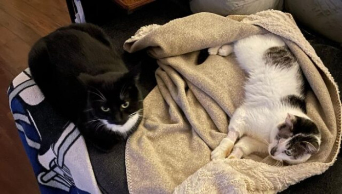 Benny got a happy ending