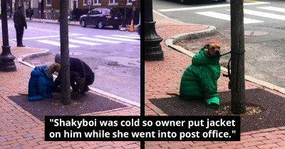 Woman's Act of Kindness Toward Her Freezing Dog Goes Viral on Facebook