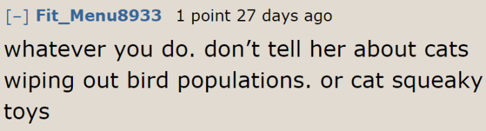 Cats are a threat to the bird population.