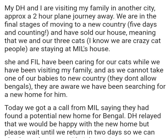 OP's MIL and FIL have been caring for their cats while they have been visiting her family