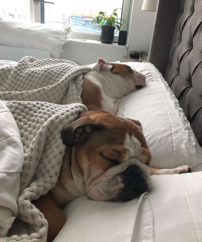 They are now best friends