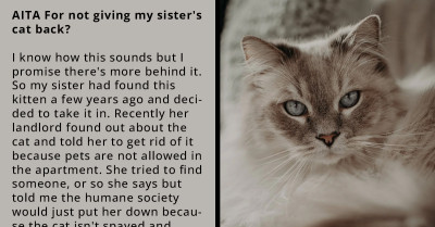 Redditor Asks If She's Wrong For Refusing To Give Her Sister's Cat Back Because She Was Neglecting It