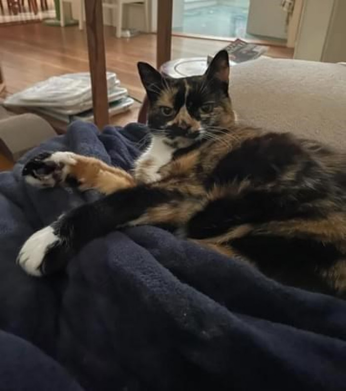 13. Okay, what is funny, hooman?