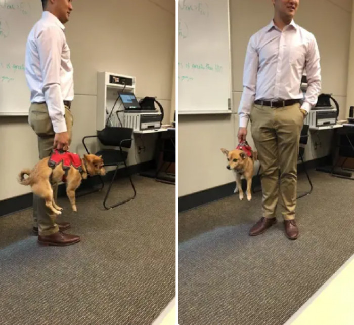 3. This professor carried his suitcase exactly like every other day: