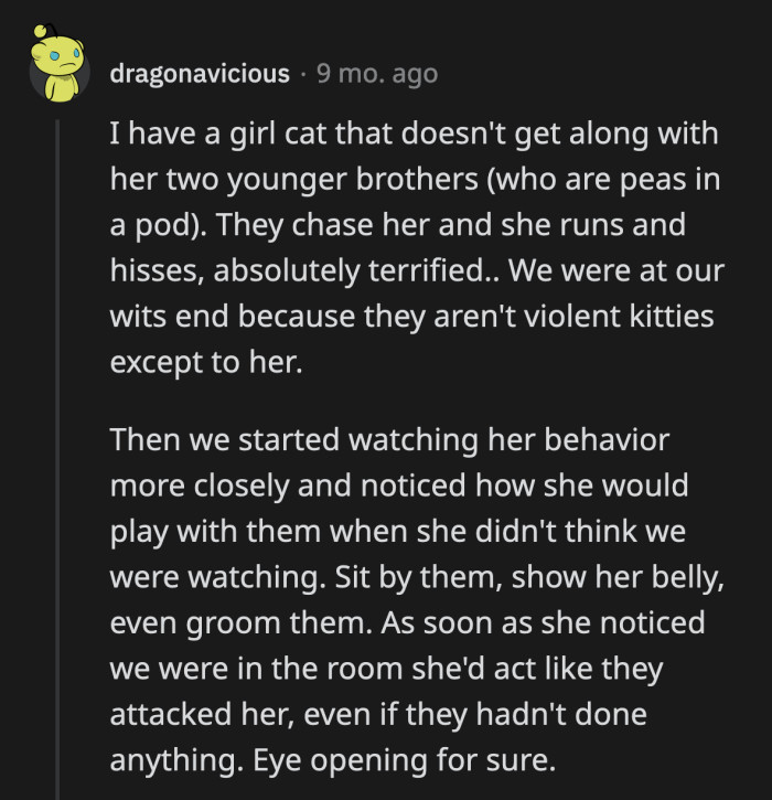 5. Girl kitten has a victim complex!