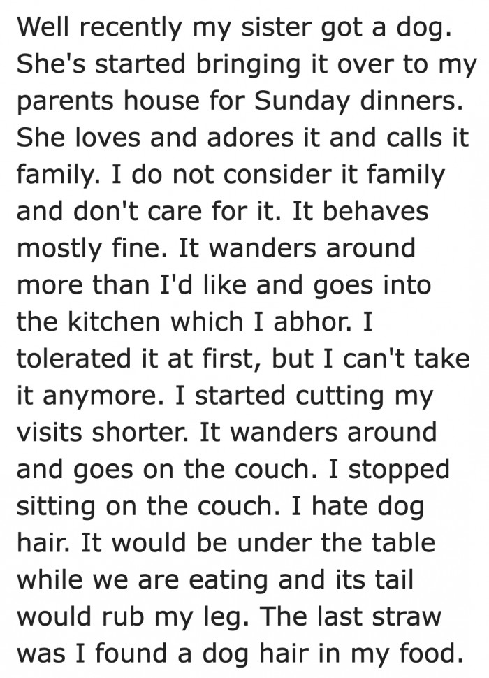 The dog plays every where, even in the kitchen, during family dinners.