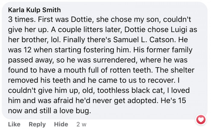 9. How I got all my three cats...