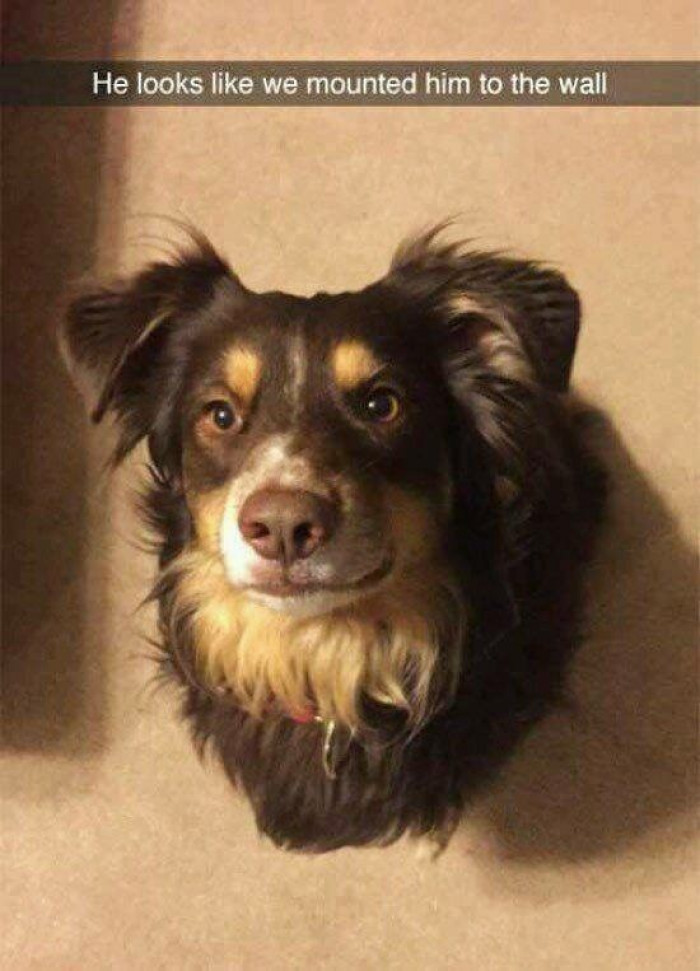 5. And he just sits there, observing the whole environment while passing judgment on everyone.