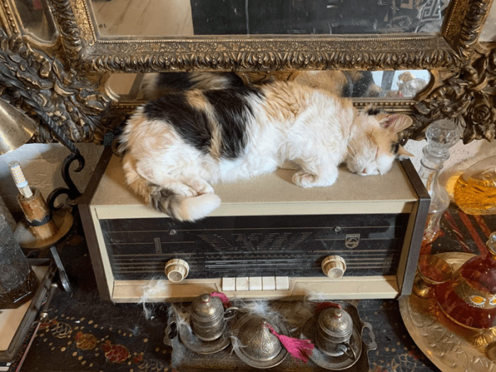 5. Looking for a warm place be like