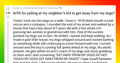 Kid Ran Towards Two Dogs To Pet Them And Was Yelled At By The Dogs' Owner, Now He Wonders If He Over-Reacted
