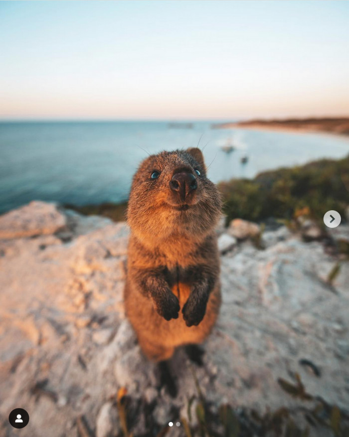 They're about to show you how beautiful their home is and hope you appreciate it with a smile