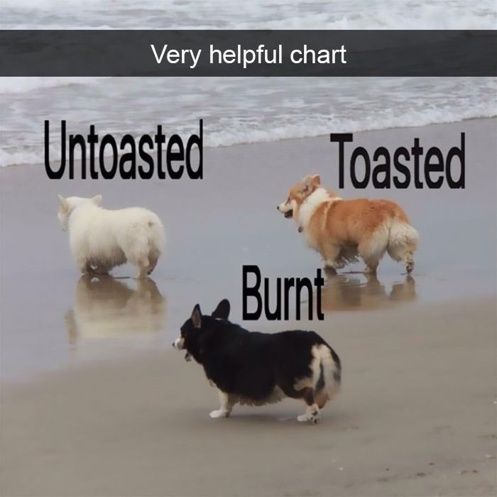 9. Three variations of adorable