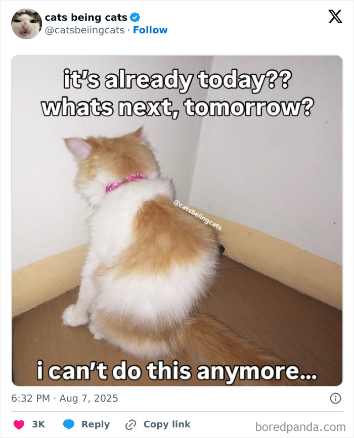 24. Same corner, different day.