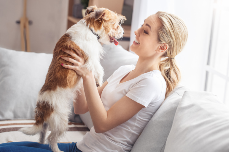 Dogs feel included when their humans talk to them.