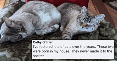 These Foster Fail Stories From The Online Community Will Leave You Feeling All Cushy And Smiley