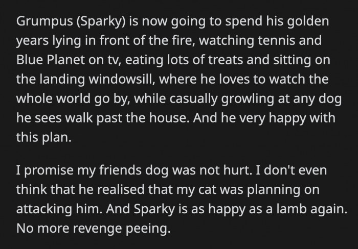 Their friend's dog was unharmed, and Sparky is at peace with their decision not to get a puppy. In the meantime, he will happily lounge about all day and growl at any dogs who dare enter his field of vision.