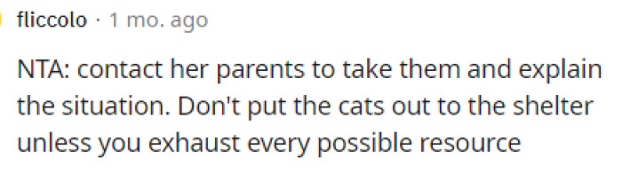 I wouldn't put the cats out either, but people are telling her that she has to come up with some solution because this one isn't working.
