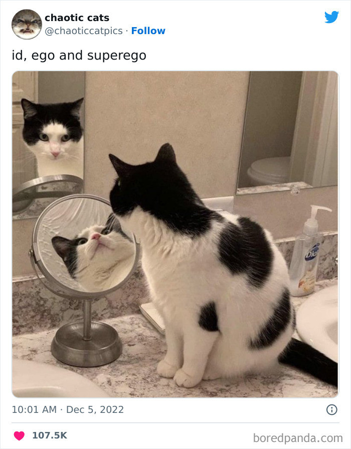 29. Ego and Superego