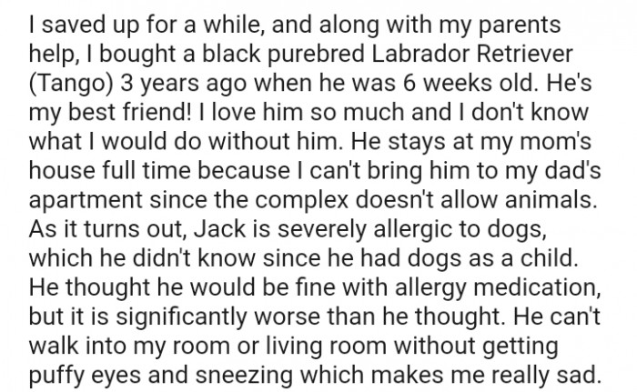 I don't know what I would do without him