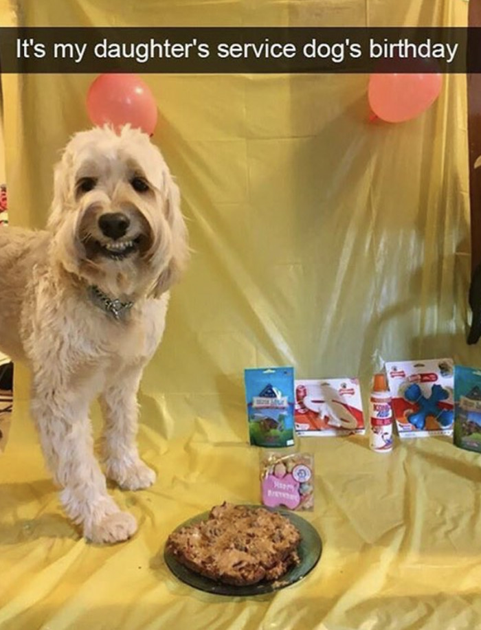 3. Happy birthday, Buddy!