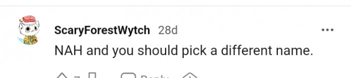 Almost all Redditors were of the opinion that the OP should choose a different name
